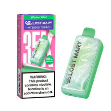 Lost Mary Winter Mint 35k Hits